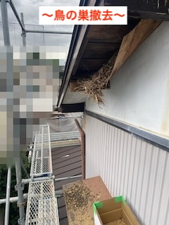 軒天　劣化　剥がれ　鳥の巣　修理　浜松市
