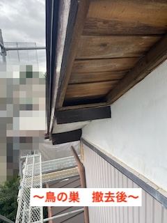 軒天　劣化　剥がれ　鳥の巣　修理　浜松市
