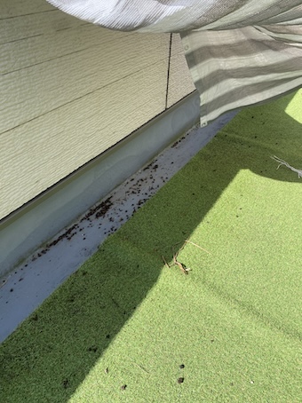 ベランダ　バルコニー　フン　はと