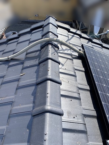 屋根　鳩　鳥の巣　被害　対策　ネット　営巣　太陽光パネル　浜松市