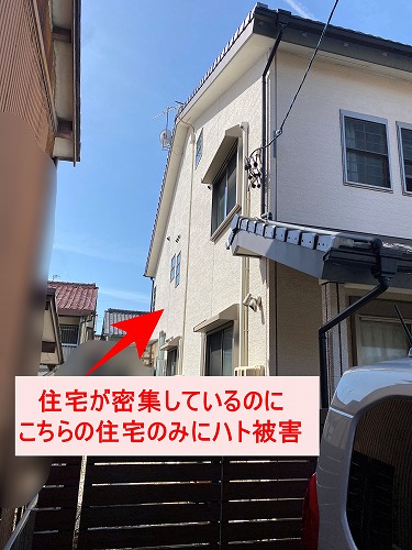 屋根　鳩　鳥の巣　被害　対策　ネット　営巣　太陽光パネル　浜松市