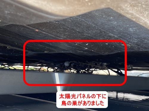 ハト　太陽光パネル　浜松市　鳥の巣　パネル下　