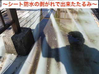 シート防水の剥がれによるたるみ 浜松市