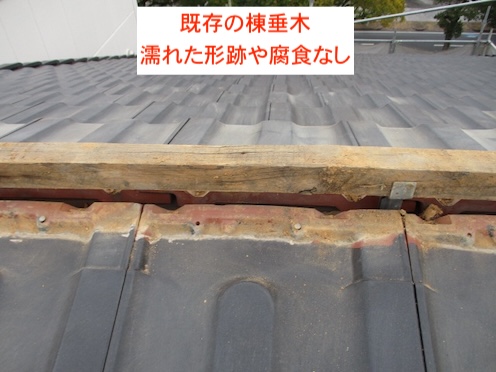 棟垂木　健全　劣化なし