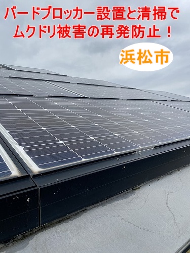 太陽光パネル　鳥害対策　鳥よけネット　浜松市　ムクドリ