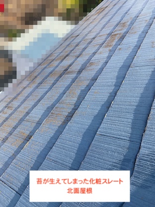 浜松市　ナショナル住宅　カラーベスト　屋根　苔　化粧スレート