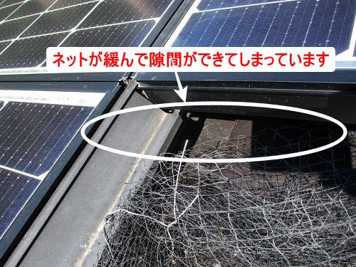 鳥の巣　防鳥対策　太陽光パネル　浜松市　ＳＨＡＲＰ