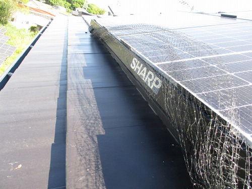 鳥の巣　防鳥対策　太陽光パネル　浜松市　ＳＨＡＲＰ