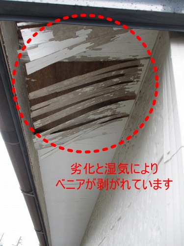 軒天　ベニヤ　剥がれ　ガルバニウム　浜松市