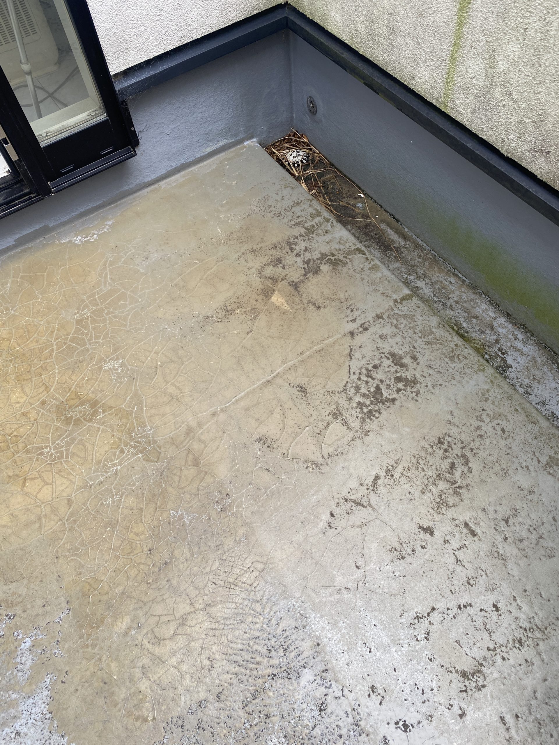 床面全体のひび割れを確認 ベランダ 浜松市