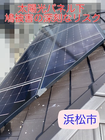 浜松市　太陽光パネル　ハト　深刻　被害