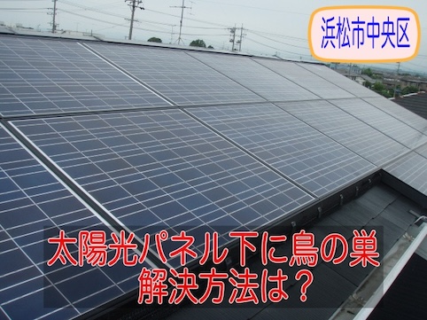 浜松市　中央区　太陽光パネル　鳥の巣　被害　防鳥　対策　ネット