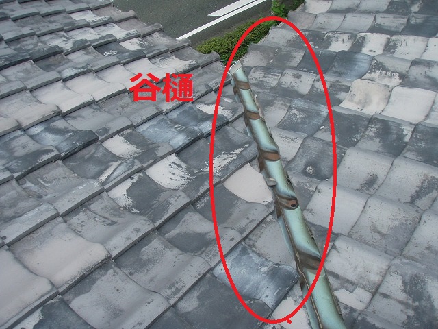 谷樋　穴あき　雨漏り