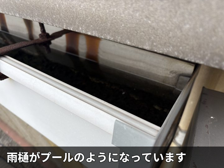 雨樋内に滞留した雨水