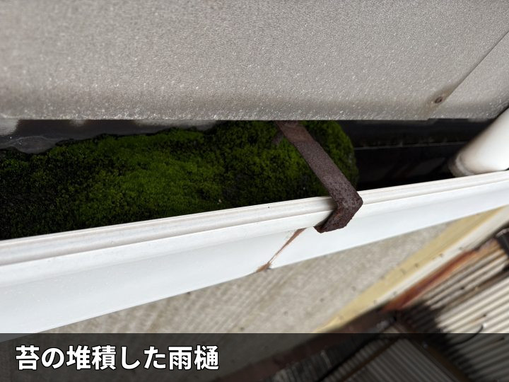 苔が堆積した雨樋内部