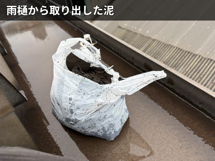 雨樋から回収した泥