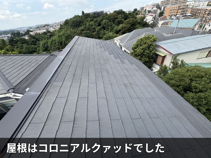 コロニアルクァッド屋根