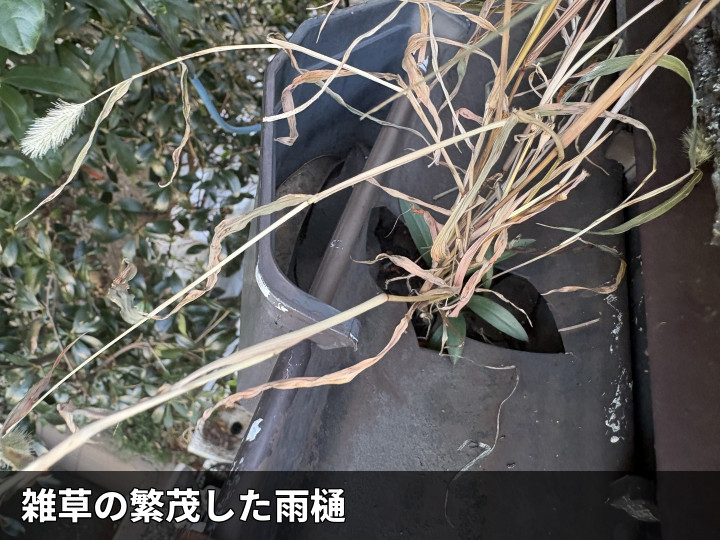 土が詰まった雨樋内部
