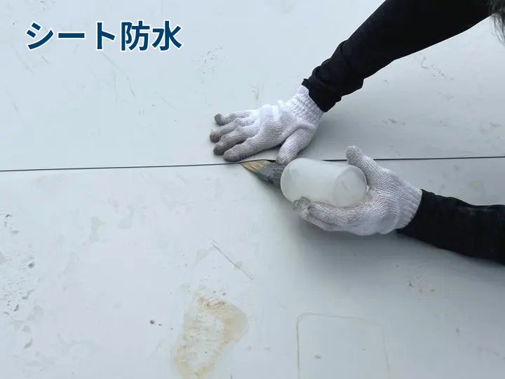 シート防水