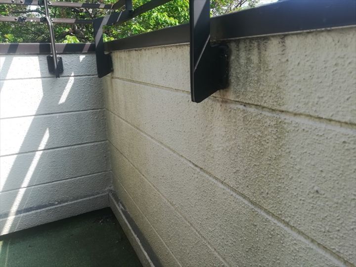 苔やカビが付着
