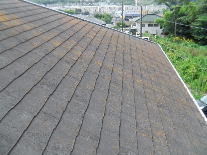 屋根材には苔(コケ)の繁殖