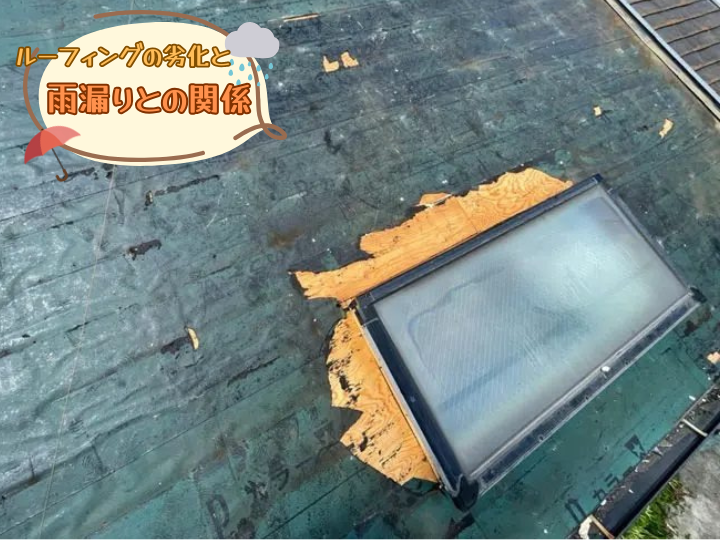 雨漏りとの関係