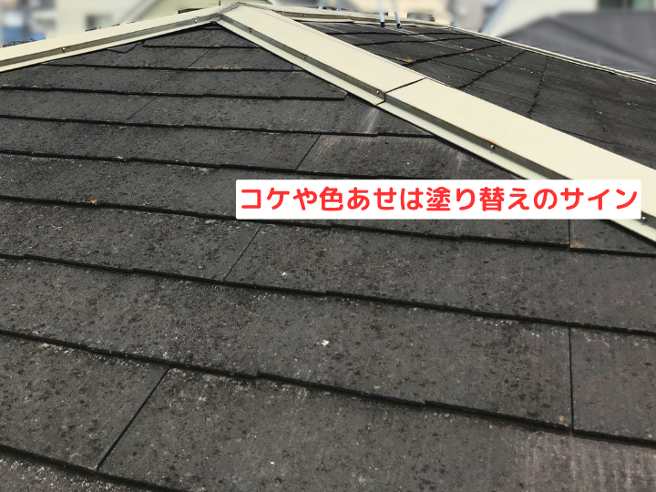コケや色あせは塗り替えのサイン