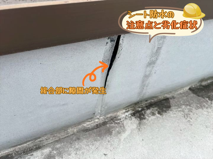 シート防水の注意点と劣化症状