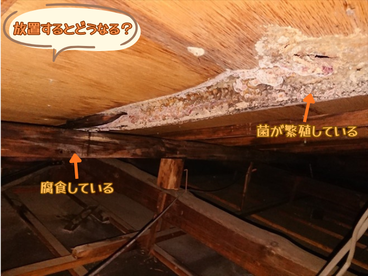 放置するとどうなる？