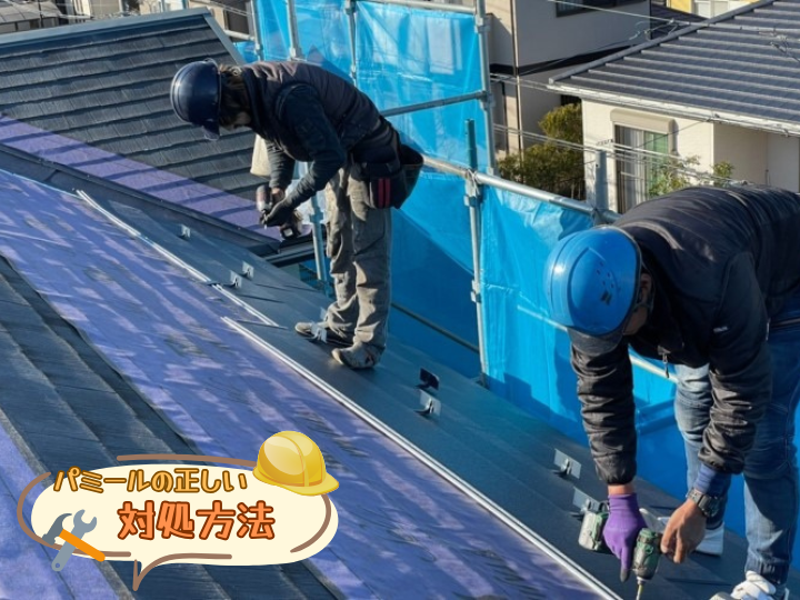 パミールの正しい対処方法
