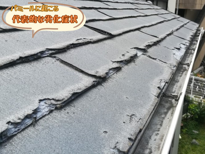 パミールに起こる代表的な劣化症状