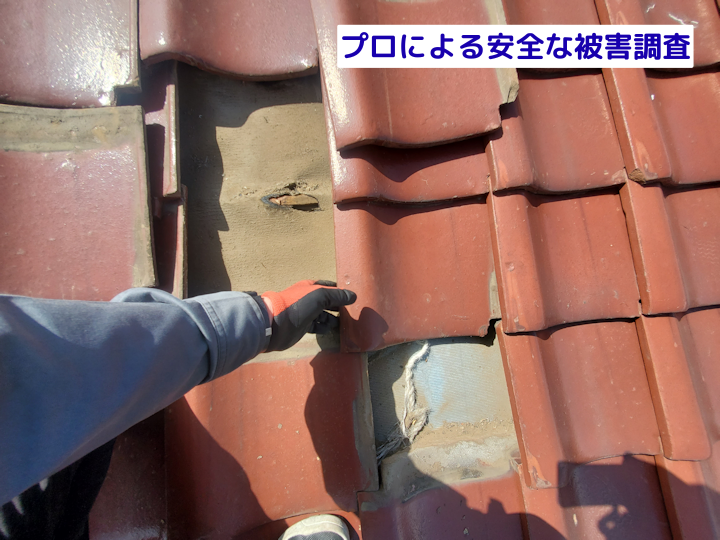 プロによる安全な被害調査