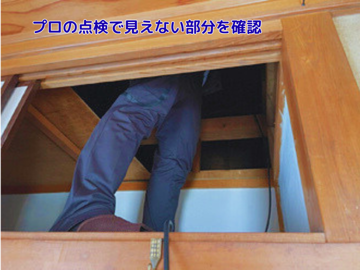 プロの点検で見えない部分を確認　屋根裏