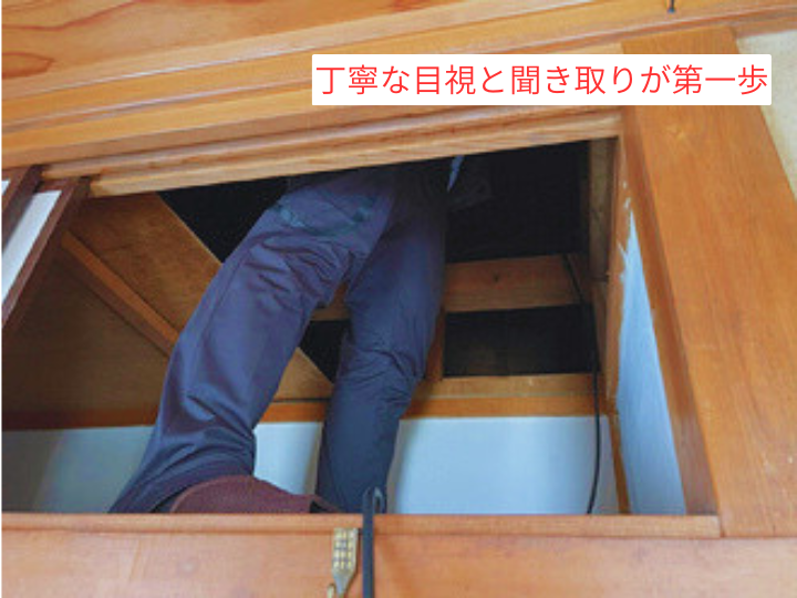 丁寧な目視と聞き取りが第一歩　屋根裏　プロ