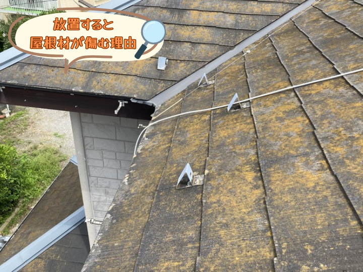 放置すると屋根材が傷む理由