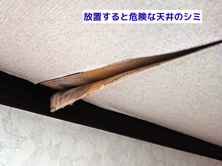 放置すると危険な天井のシミ