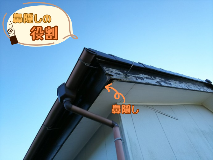 鼻隠しの役割