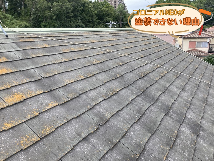 コロニアルNEOが塗装できない理由