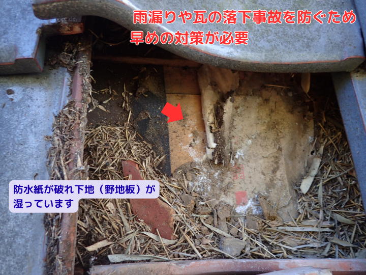 防水紙が破れ下地（野地板）も湿っています