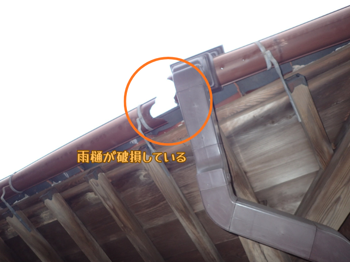 雨樋が破損している