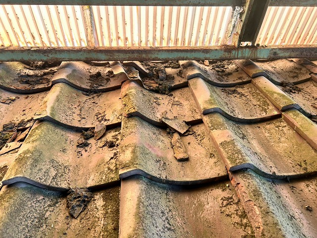 瓦屋根　欠け　ゴミ溜まり