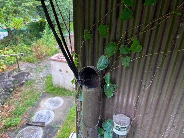雨樋破損