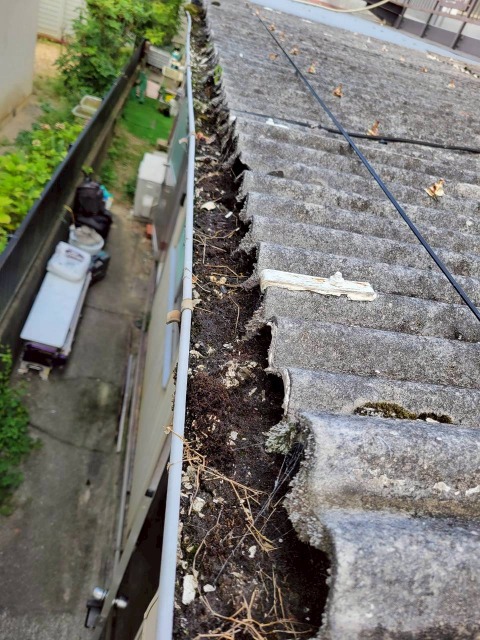 雨樋苔や詰まり