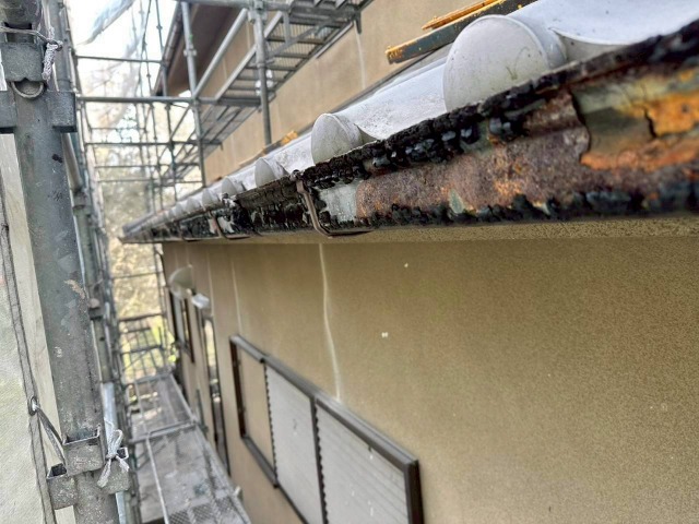 雨樋