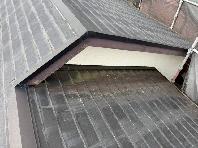 カラーベスト