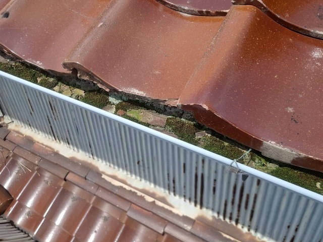 雨樋詰まり
