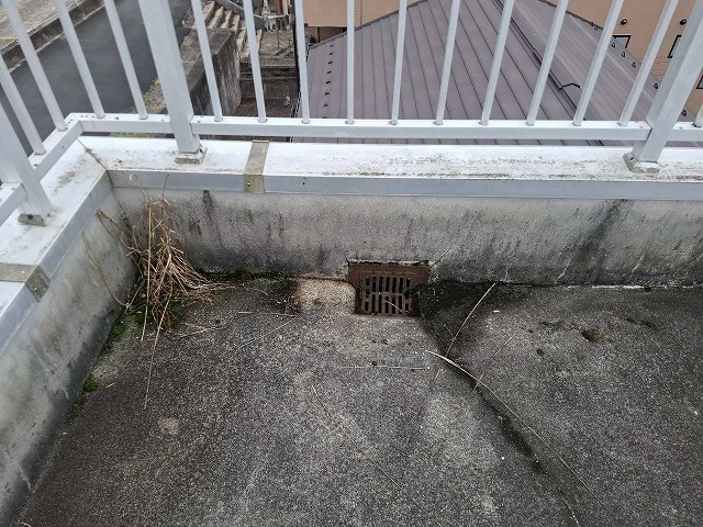 屋上から雨漏り