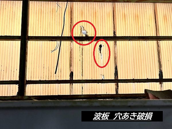 波板　穴あき　破損