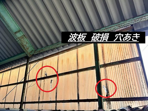 波板　穴あき　破損