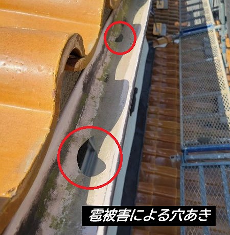 雨樋　雹被害　穴あき